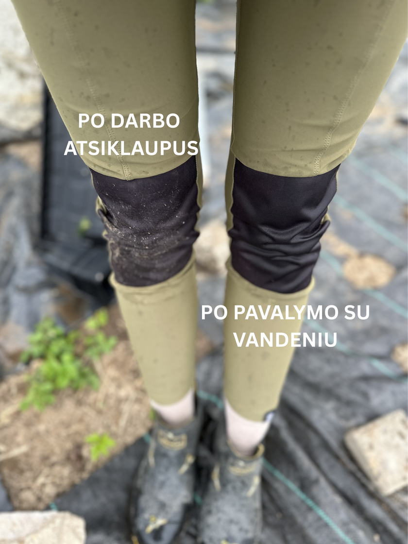 Sodo tamprės