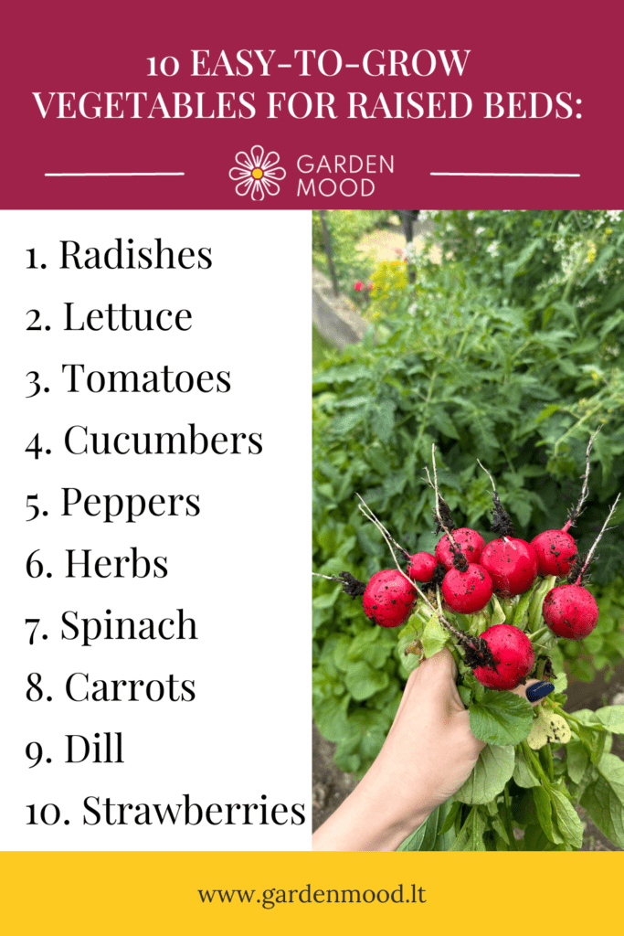 10 Easy-to-Grow Vegetables for Raised Beds: A Guide for Beginners Gardeners
