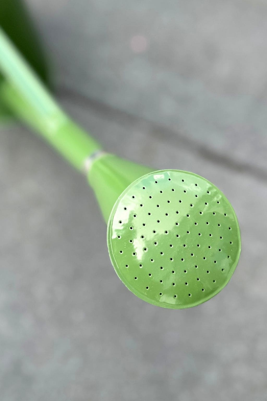 Laistytuvas (metalinis, 7,7 l)